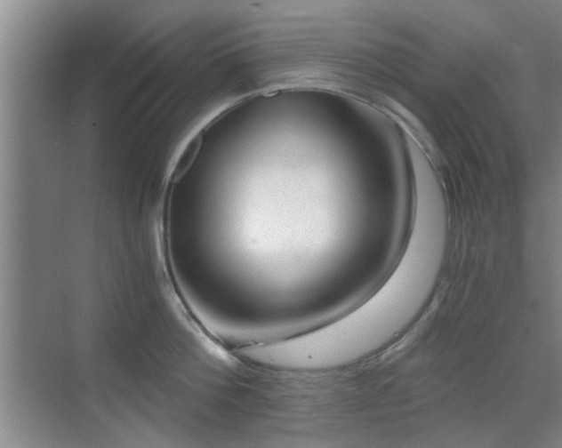 X0000069810812200605221202