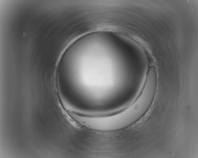 X0000069810816200605221202