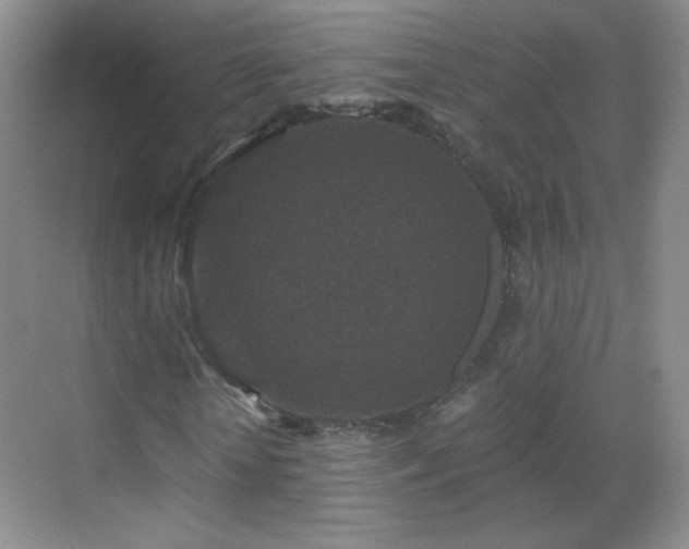 X0000069810818200605221202