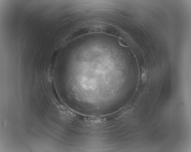 X0000069810819200605221202