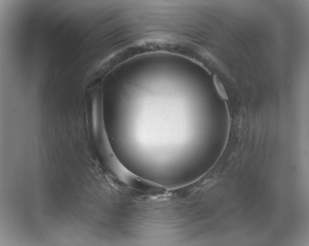 X0000069810822200605221202