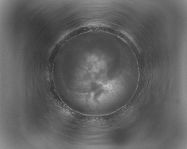 X0000069810823200605221202