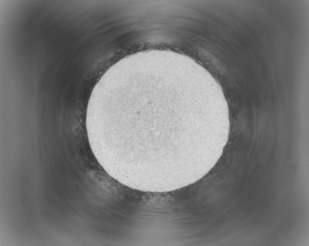 X0000069810824200605221202