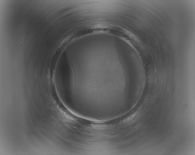 X0000069810825200605221202