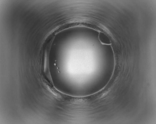 X0000069810826200605221202