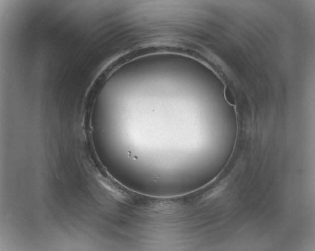 X0000069810830200605221202