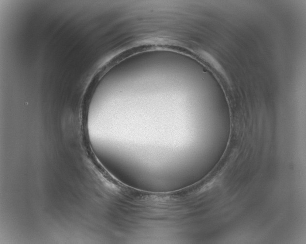 X0000069810831200605221202