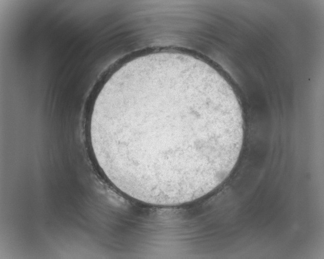 X0000069810832200605221202