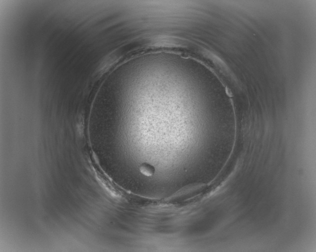 X0000069810833200605221202