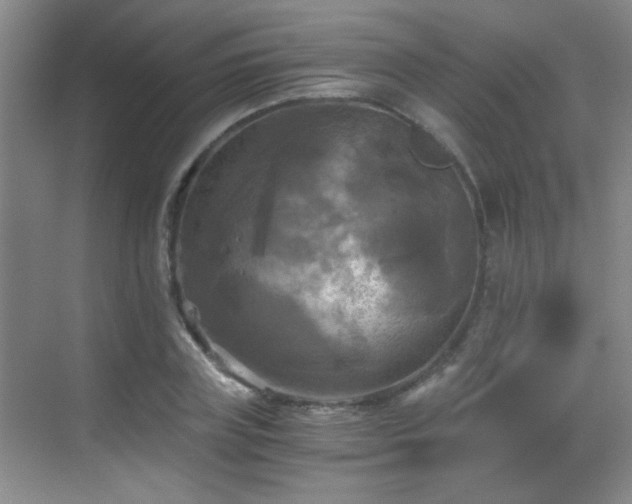 X0000069810835200605221202