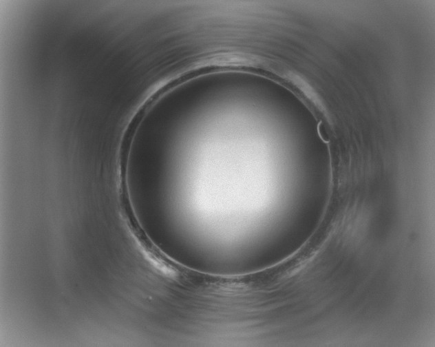 X0000069810837200605221202