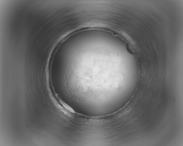 X0000069810840200605221202