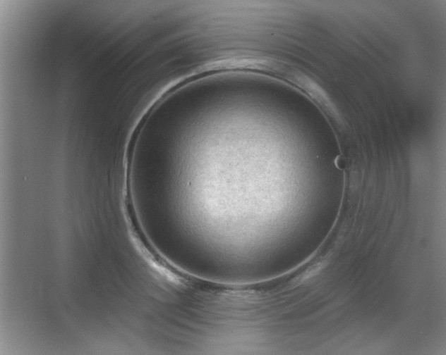 X0000069810844200605221202