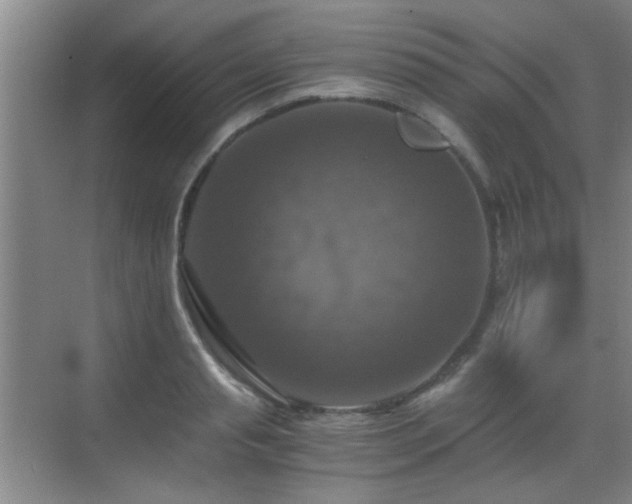 X0000069810845200605221202