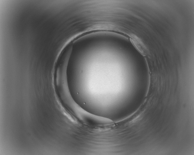 X0000069810846200605221202