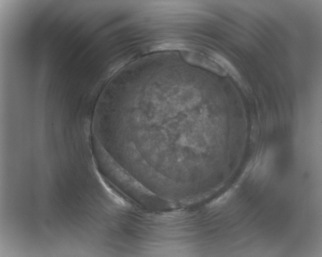 X0000069810849200605221202