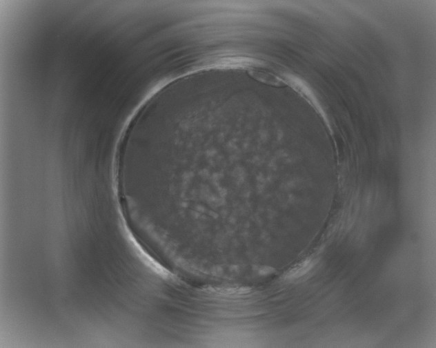 X0000069810851200605221202