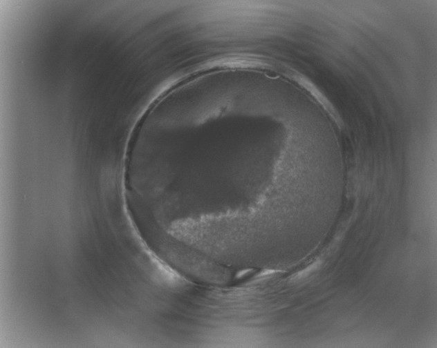 X0000069810853200605221202