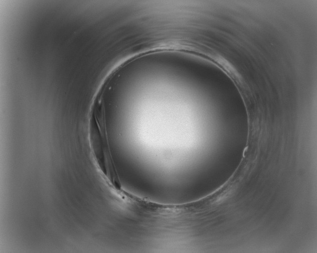 X0000069810854200605221202