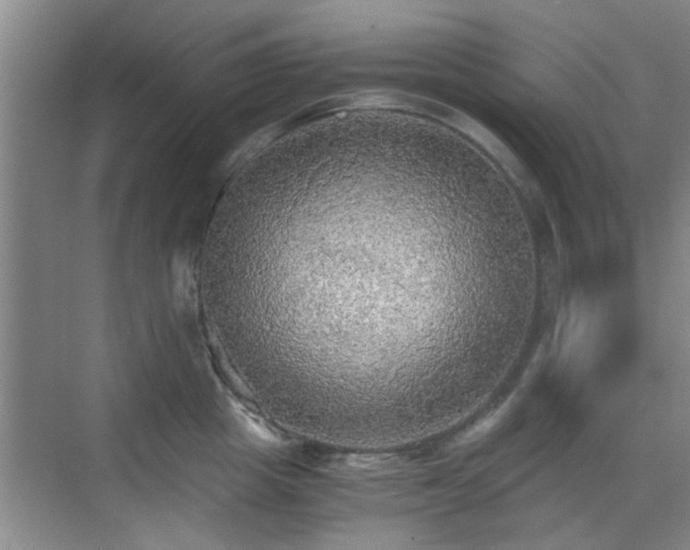 X0000069810857200605221202