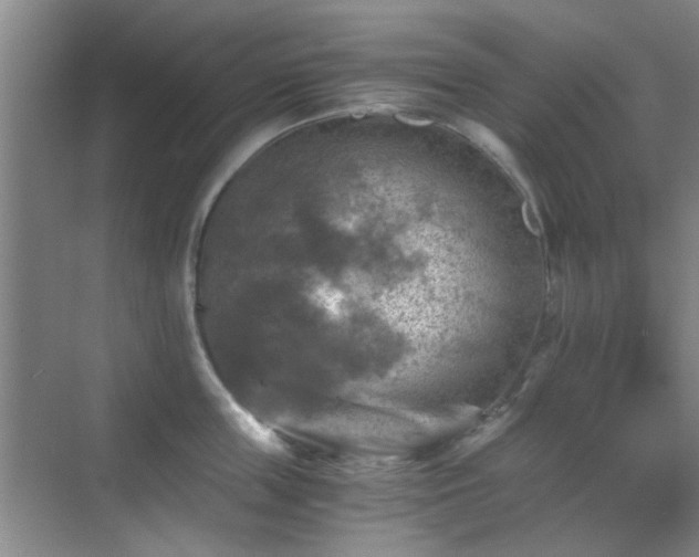 X0000069810859200605221202