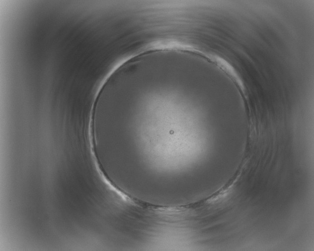 X0000069810863200605221202