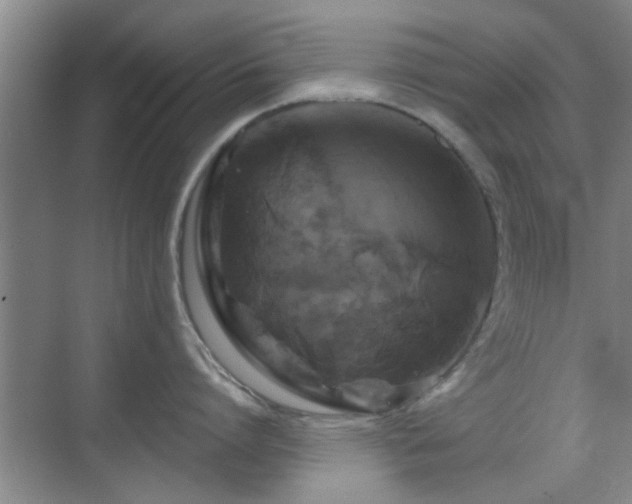 X0000069810864200605221202