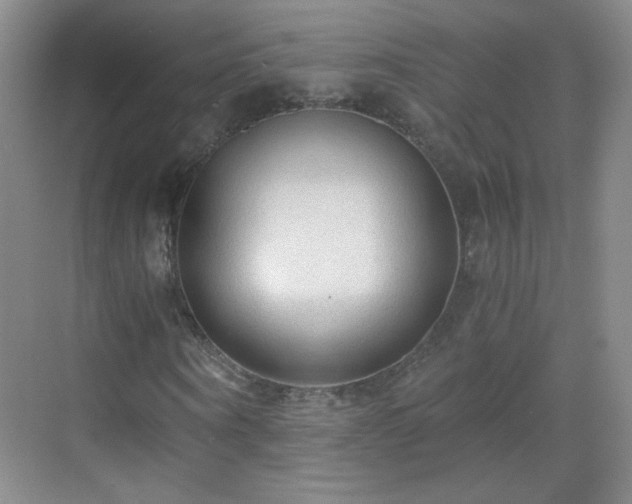 X0000069810866200605221201