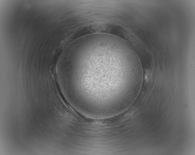 X0000069810867200605221201