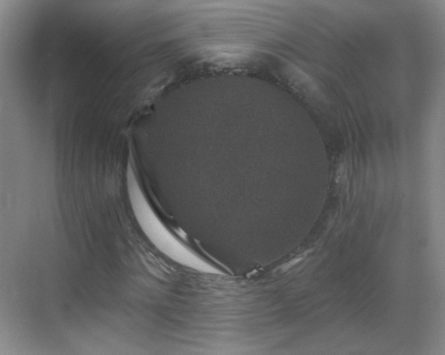 X0000069810868200605221201