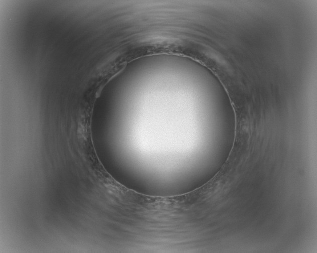 X0000069810869200605221201