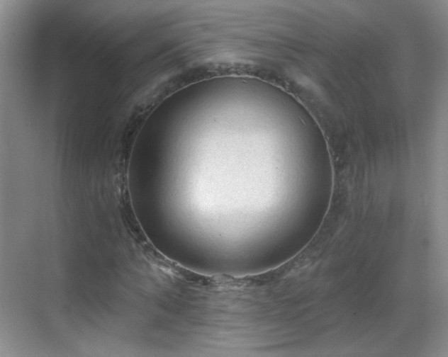 X0000069810870200605221201