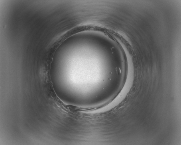 X0000069810872200605221201