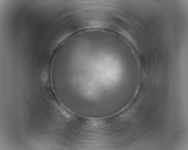 X0000069810874200605221201