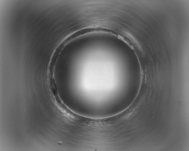 X0000069810876200605221201