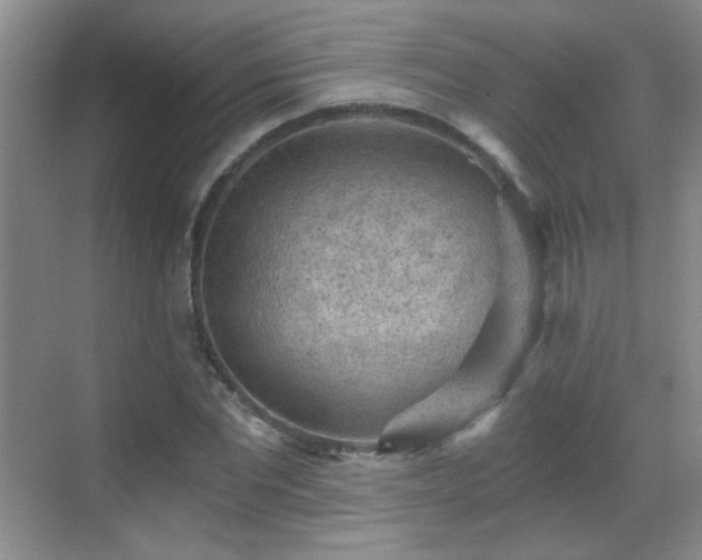 X0000069810877200605221201