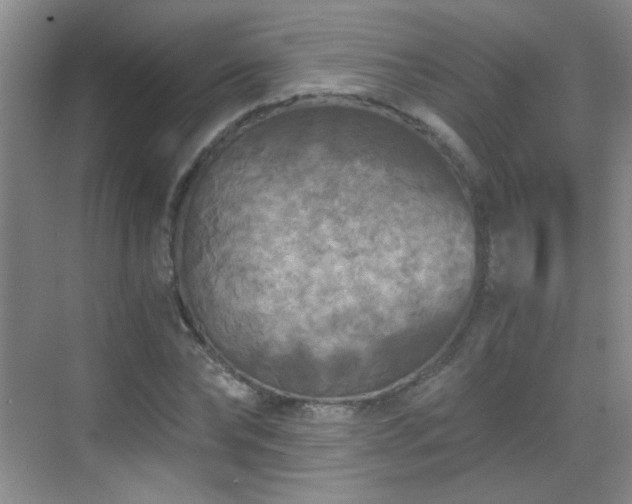 X0000069810878200605221201