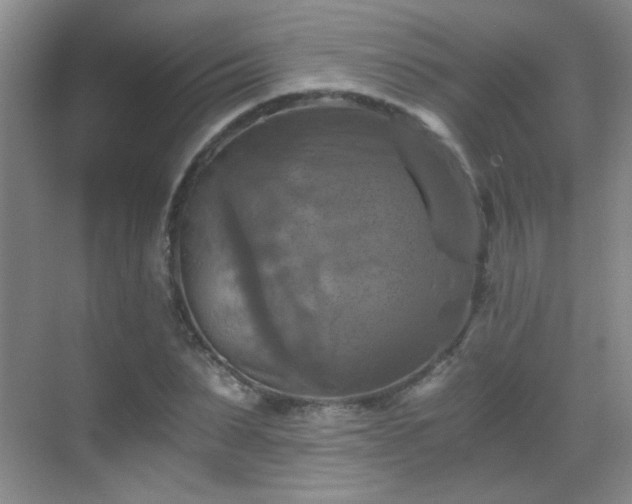 X0000069810879200605221201