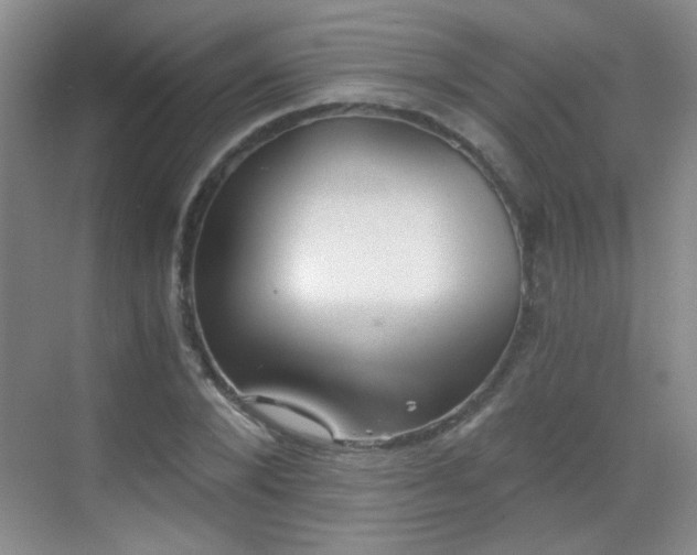 X0000069810880200605221201