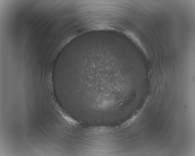 X0000069810881200605221201