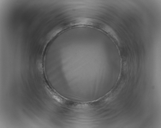 X0000069810882200605221201