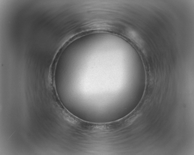 X0000069810883200605221201