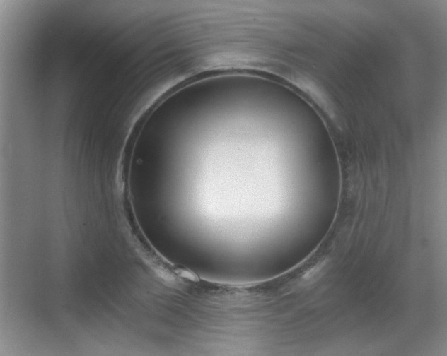 X0000069810885200605221201