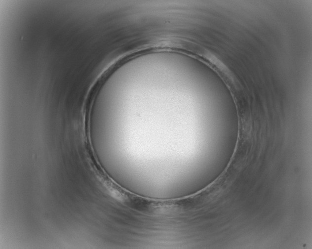 X0000069810886200605221201