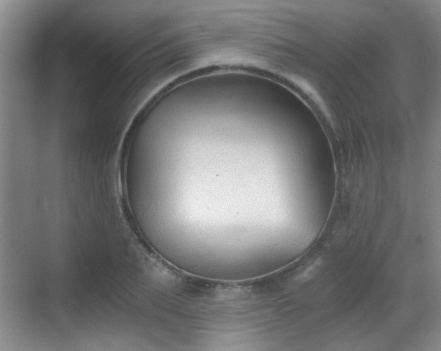 X0000069810887200605221201