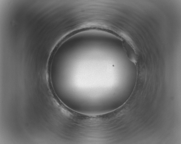 X0000069810888200605221201