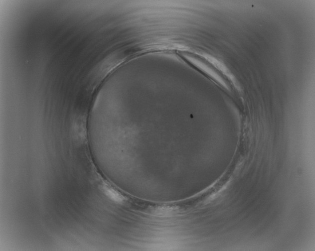 X0000069810889200605221201