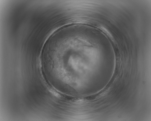 X0000069810891200605221201