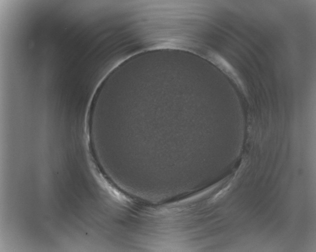 X0000069810892200605221201