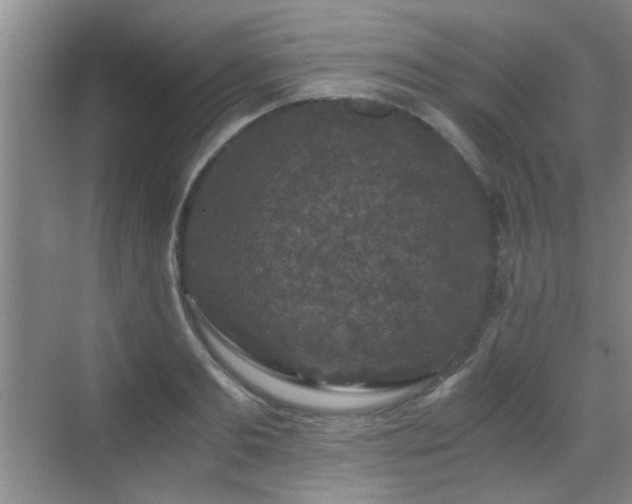 X0000069810893200605221201